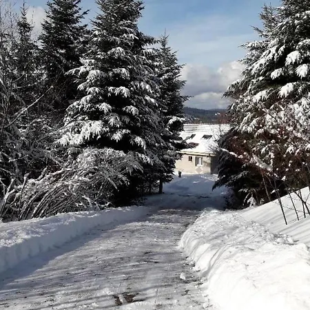 Spacieux Avec Confort Total, Hautes-vosges - Fr-1-589-220 Feriehus *